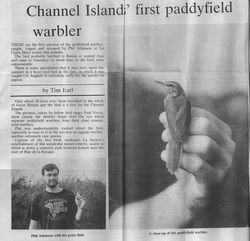 Paddyfield Warbler photographed at Claire Mare [CLA] on 19/8/1993. Photo: &copy; Unknown